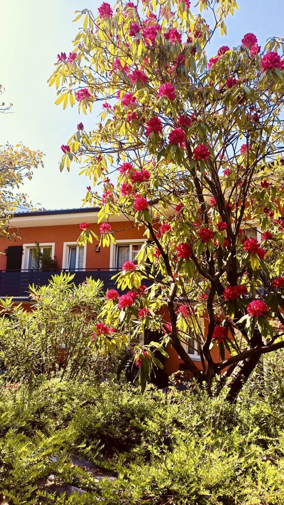 Hotel Villa Cuserina Канобио Екстериор снимка
